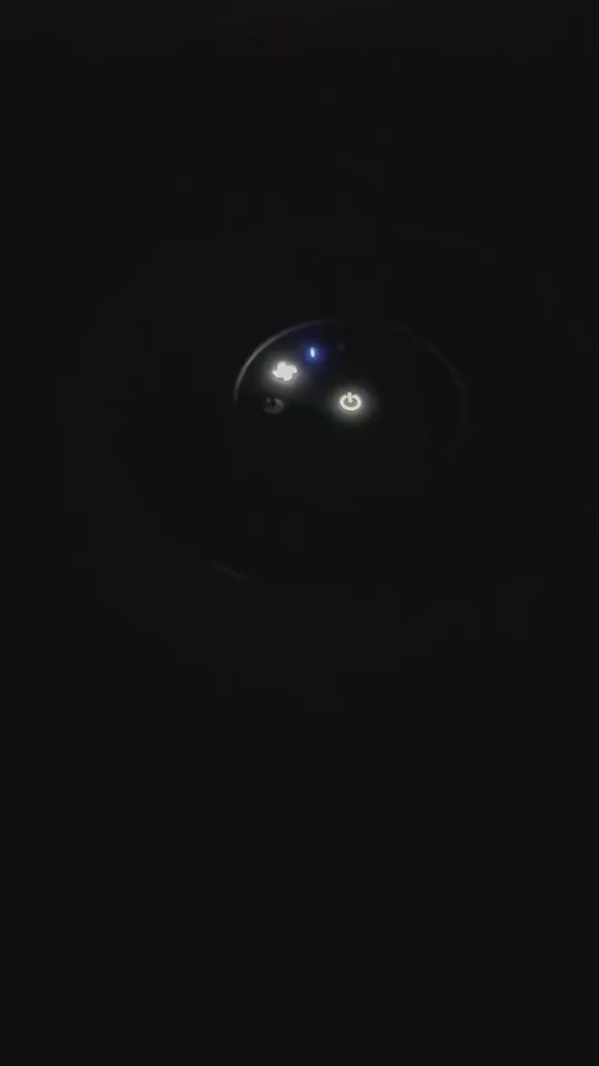 1.mp4